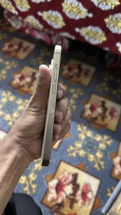 Apple iPhone 13 Pro 256Gb