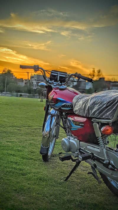 Honda 125  (24 Model)