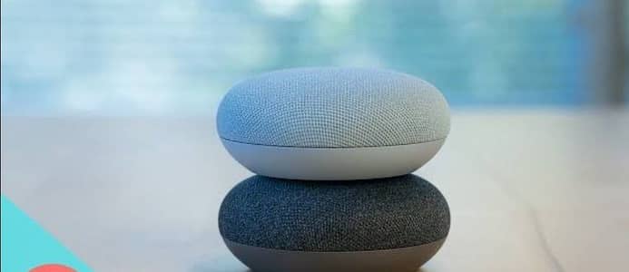 Google Nest Mini 1st Generation Bluetooth Speaker, Universal Power Ada