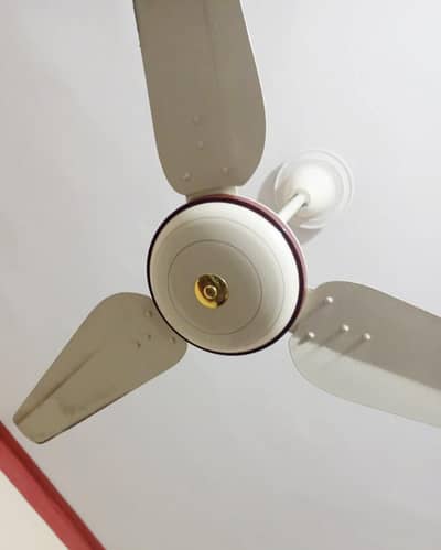 Celling fan