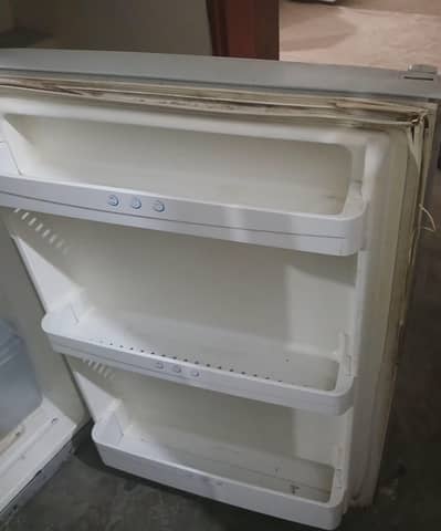 Hair Fridge for sale