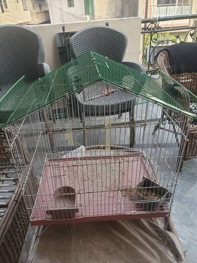 Steel cage for parrots and pigeons
