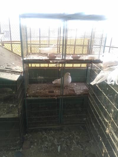 cages