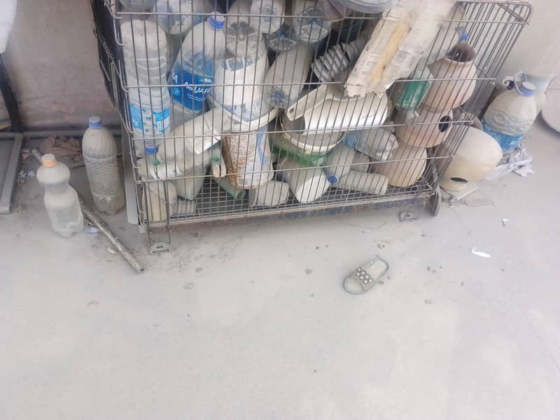cages 4