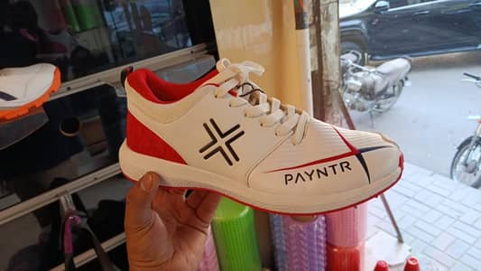Payntr Spikes for sale