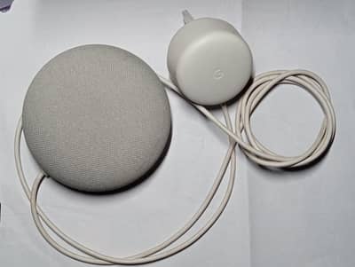Google Nest Mini Speaker White