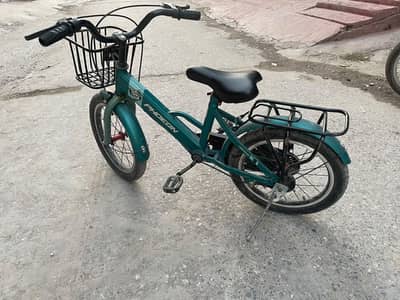 Only 1 year used Like new cycle imported frame