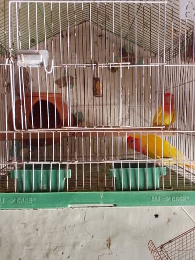 for sale