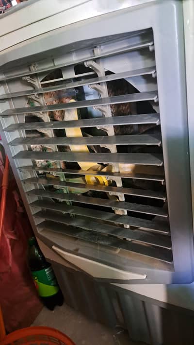 AC. DC Cooler with electric supply