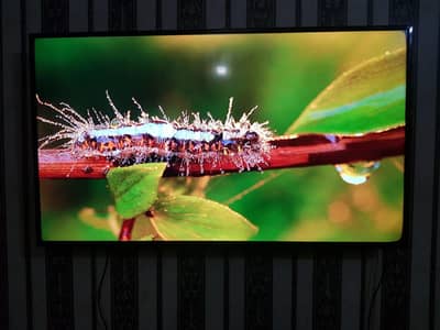 TCL 55 inch Led with side black dot