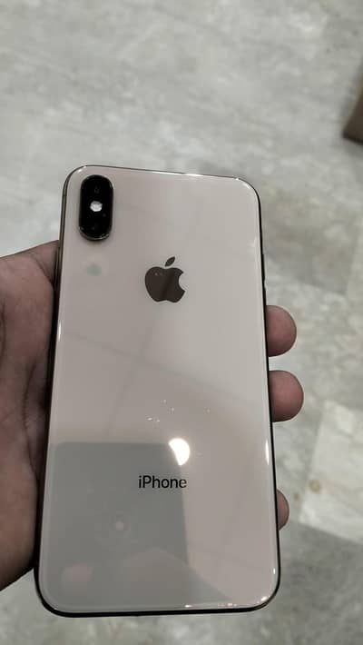Apple iPhone X
