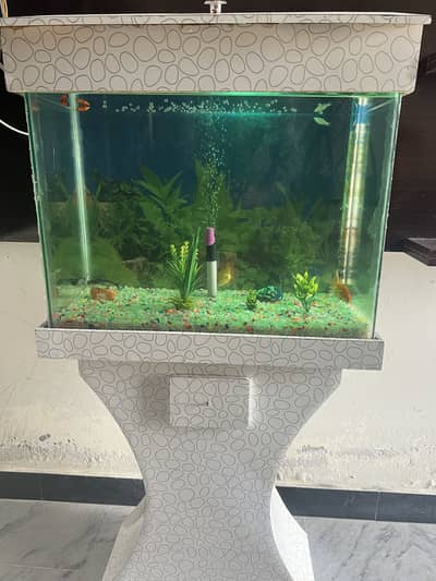 Aqurium with Fish & Complete Accessories for sale