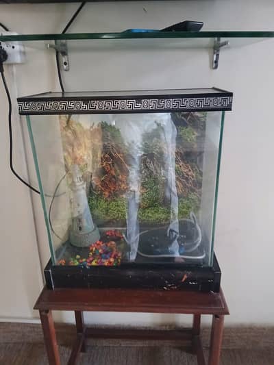 Fish aquarium