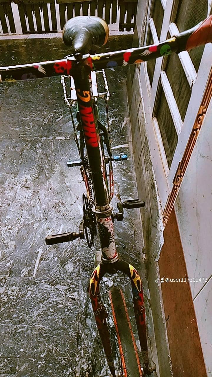 cycle 2