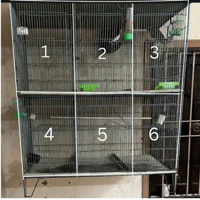 6 Portion Bird Cage for lovebirds budgies cocktails (Only Cage)