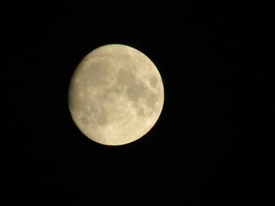 Canon Powershot SX530 HS