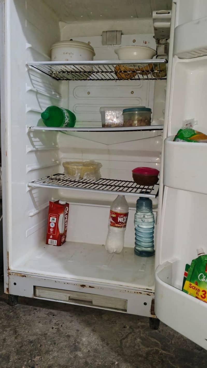 freezer 3
