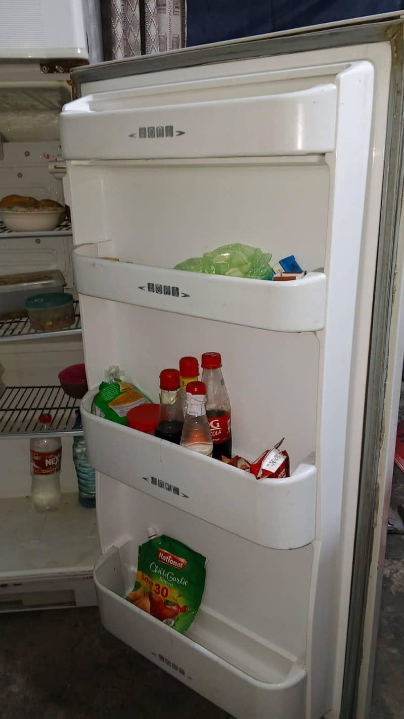 freezer 4