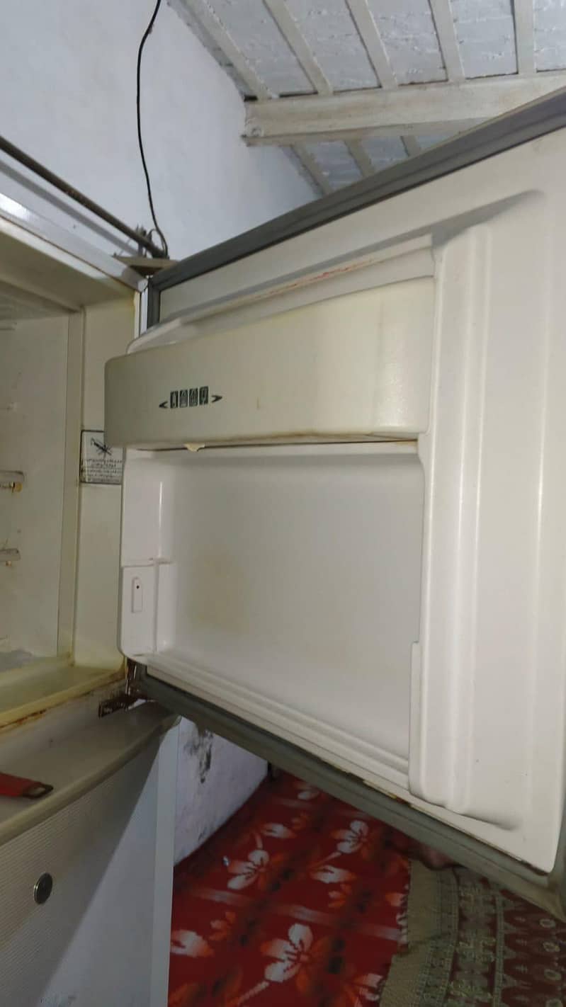 freezer 5