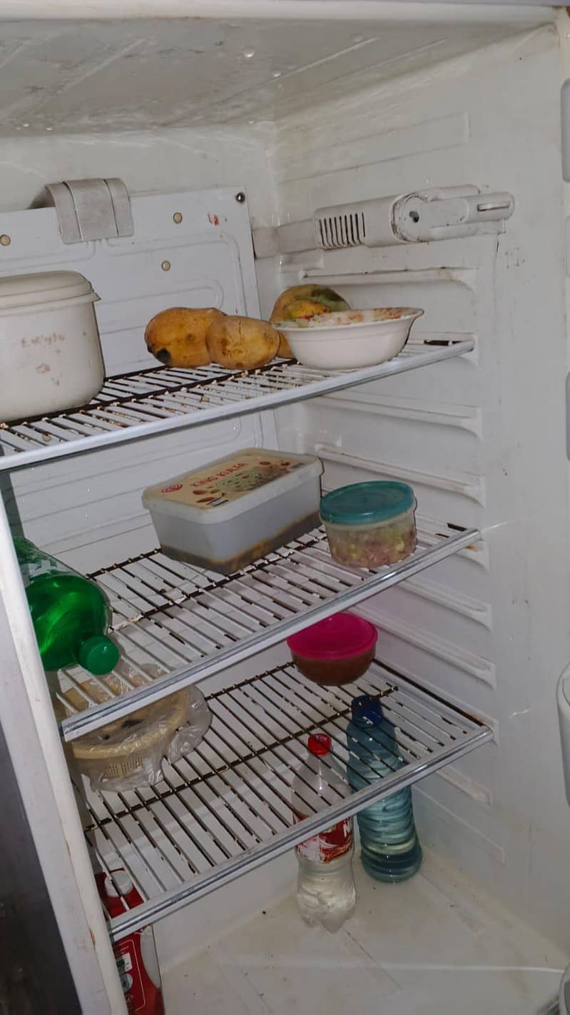 freezer 6