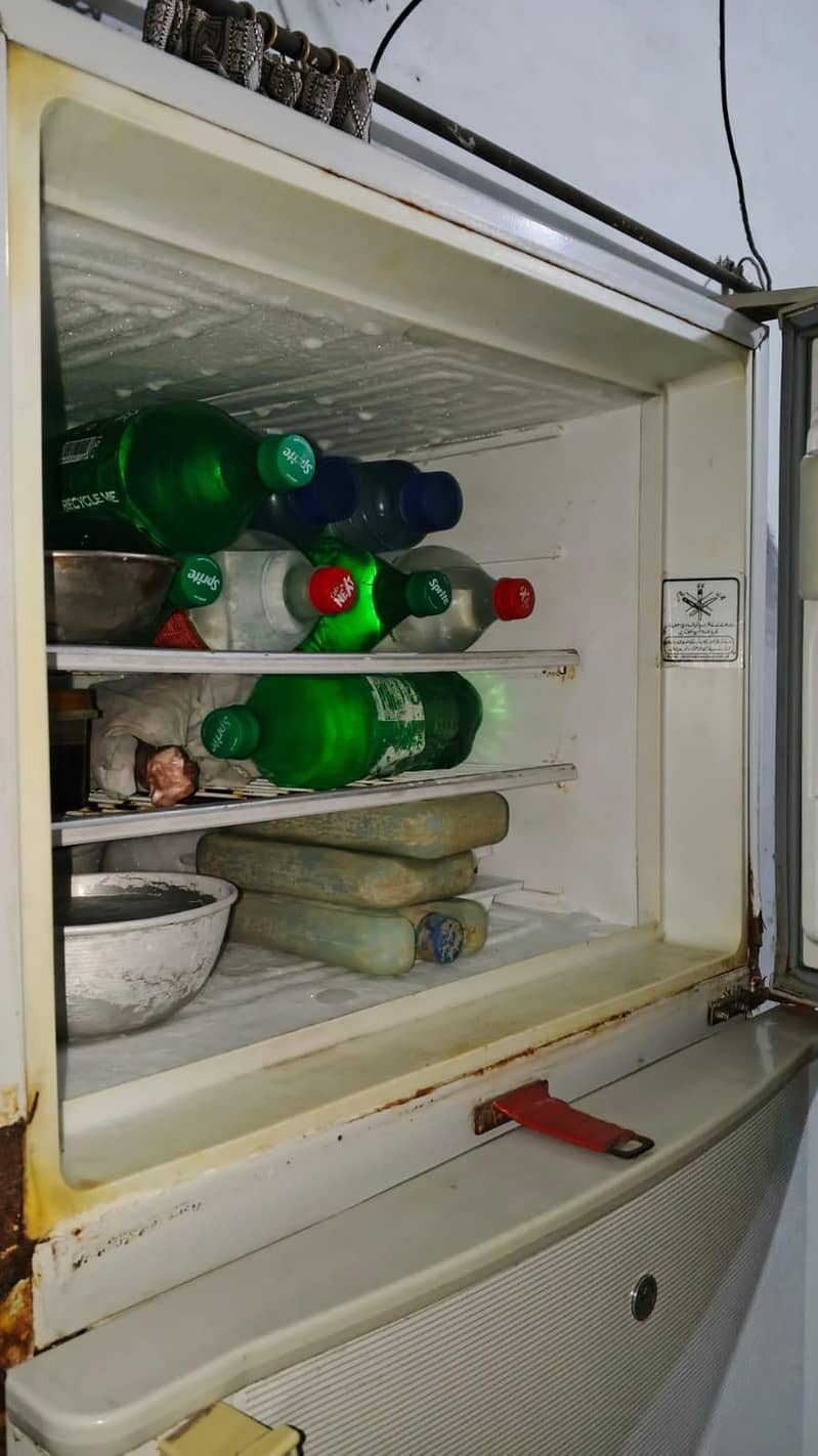 freezer 7