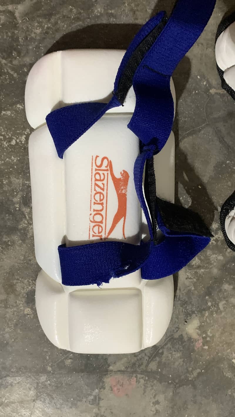 Cricket kit 1