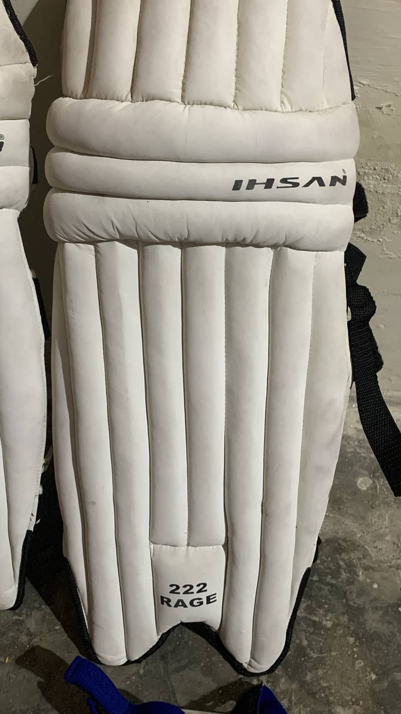 Cricket kit 2