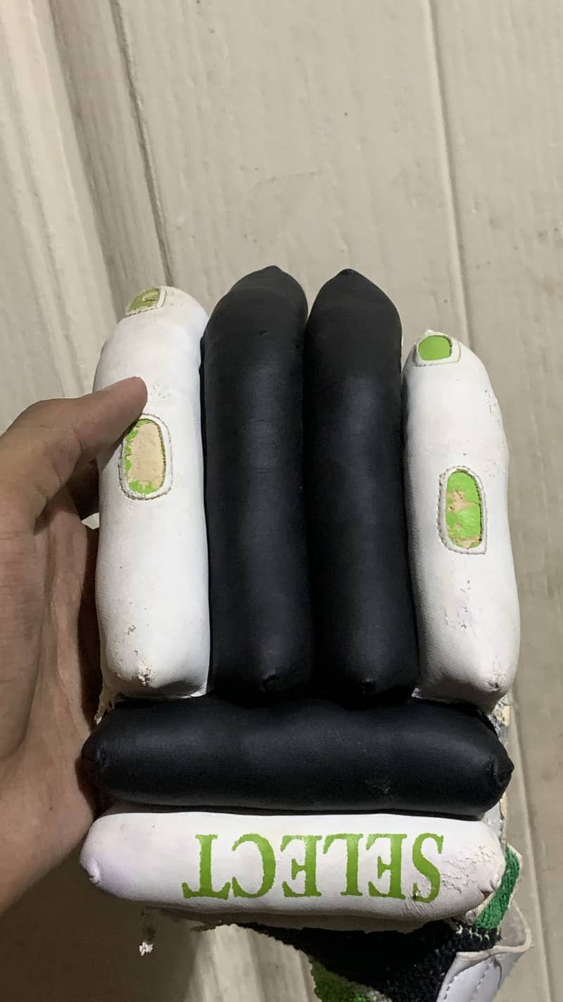 Cricket kit 3