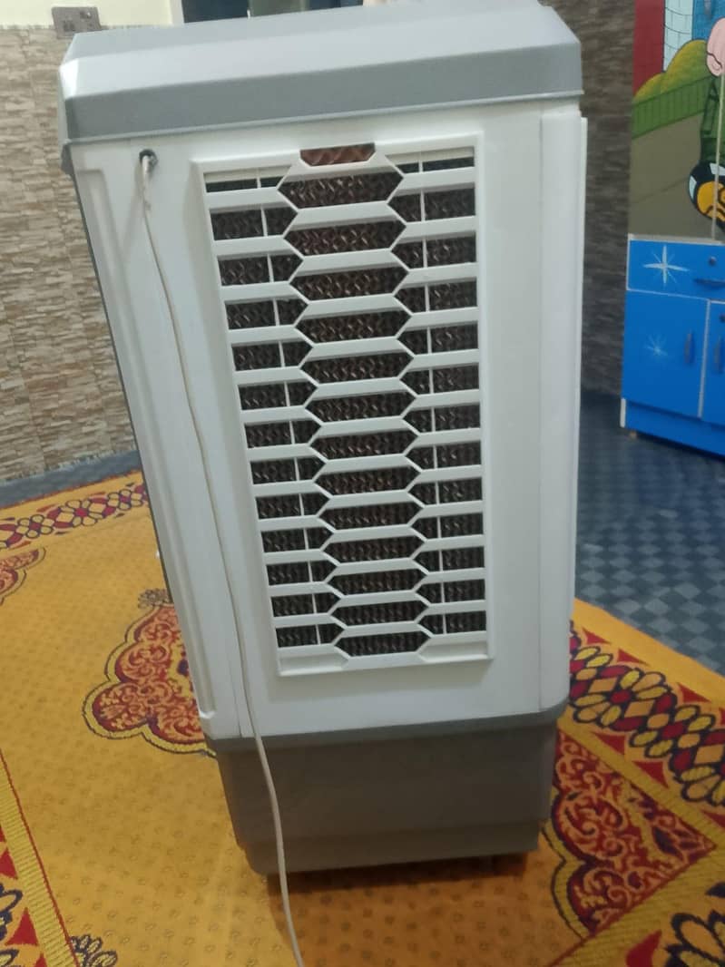 2 week used 1