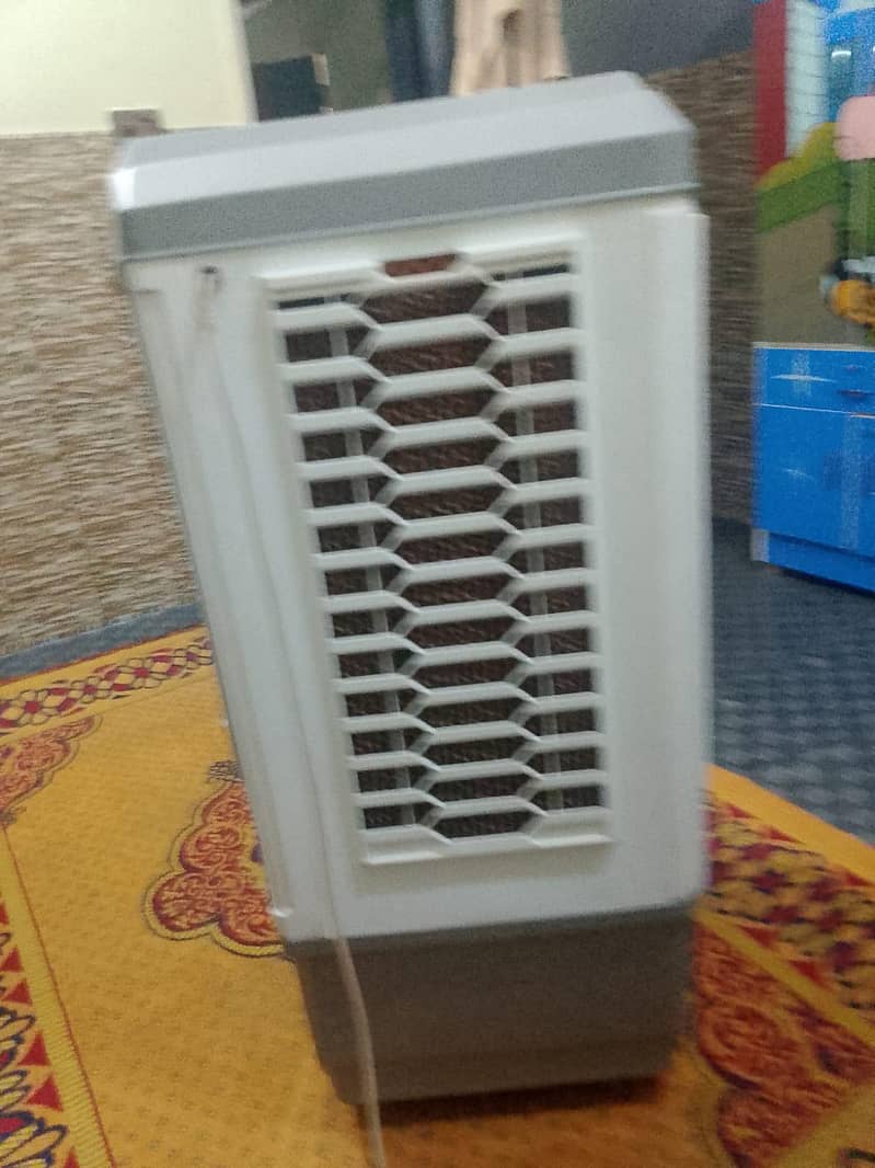2 week used 2