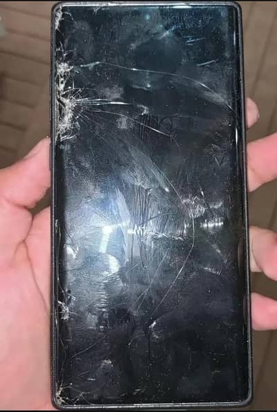 Need panel Samsung Mobile Note 10 Plus
