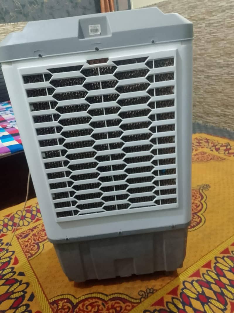 2 week used 3