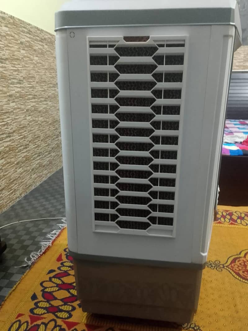 2 week used 4