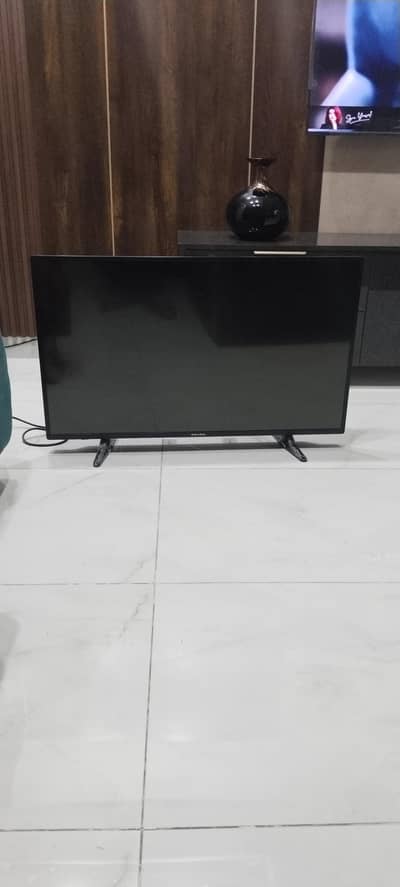 Eco star 44 inch LCD