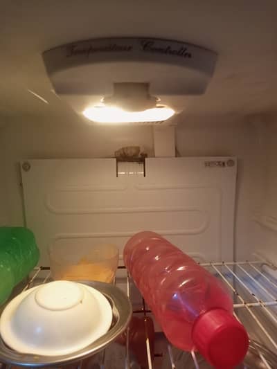 Freeze Dowlence Medium in good condition
