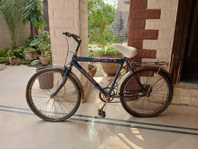 Used Old Cycle