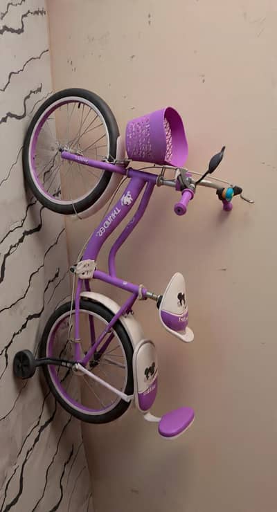 imported cycle