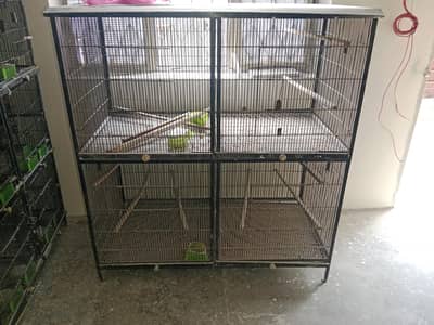birds cages