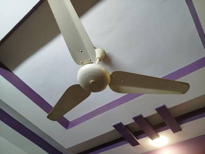SK Ceiling Fan - Brand New Condition
