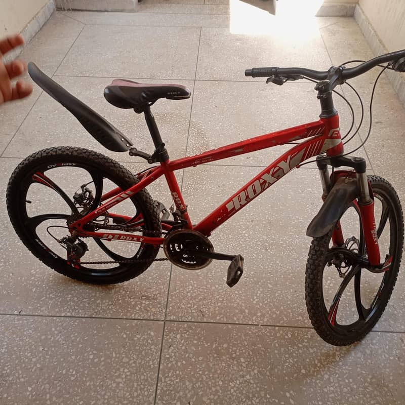 ROXY Bicycle 0