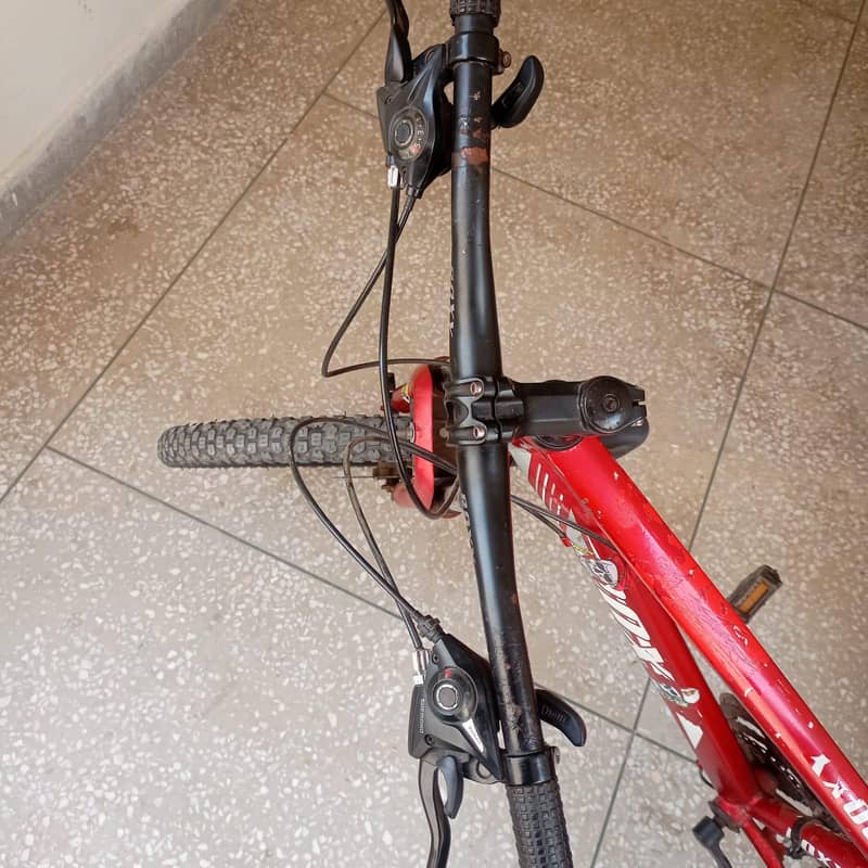ROXY Bicycle 1