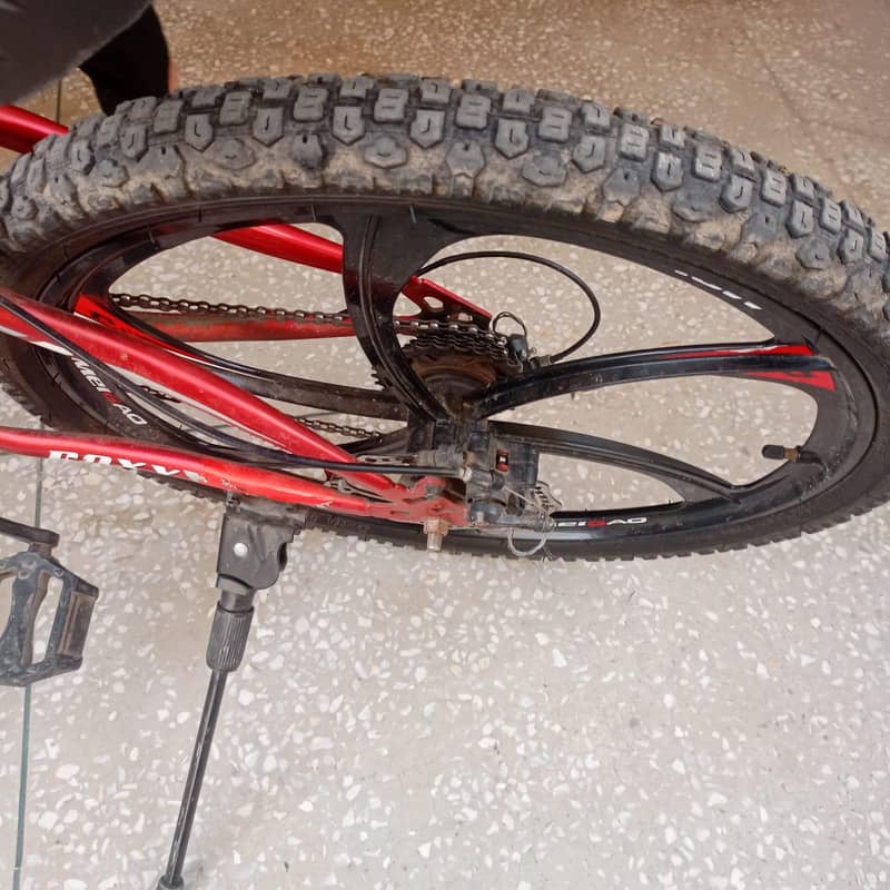 ROXY Bicycle 2