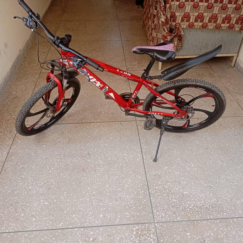 ROXY Bicycle 5