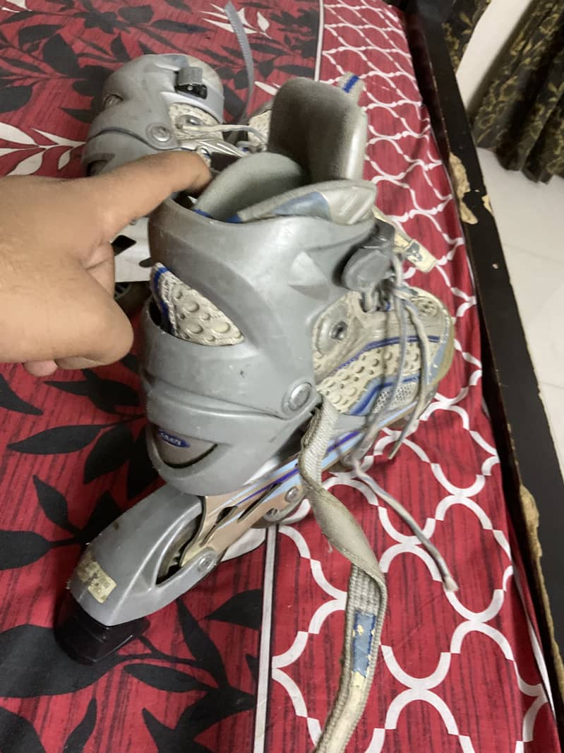 Skates 1
