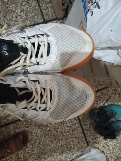 Asics Indoor shoes