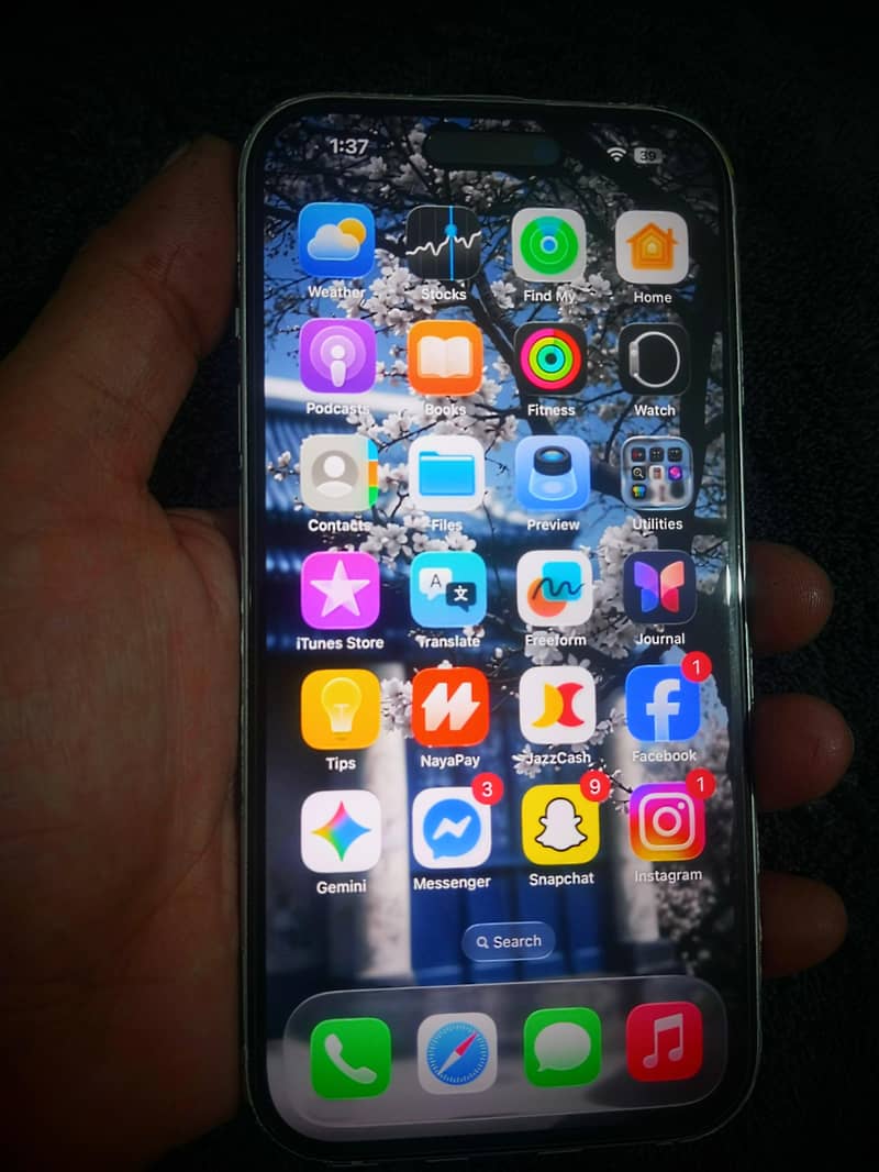 Apple iPhone 15 2