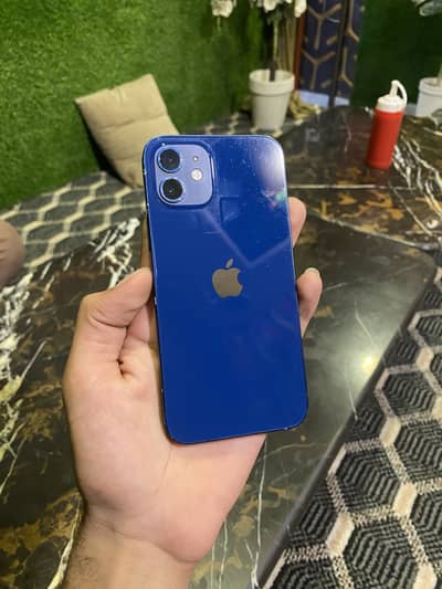 Apple iPhone 12