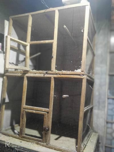 2 cage سافیدے کی لکڑی کے