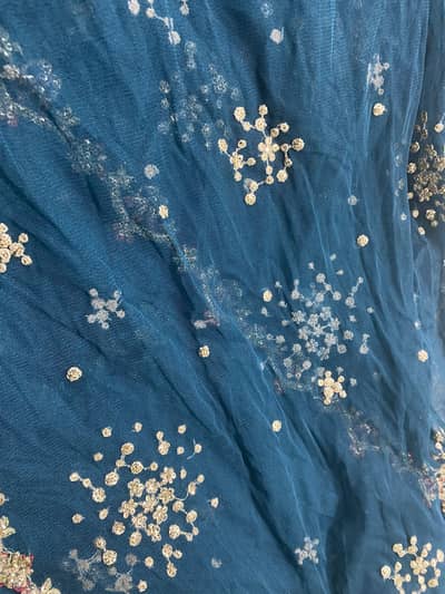 Sequin embroidery net shirt peice