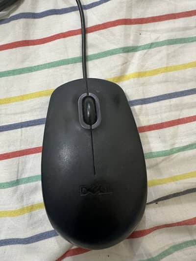 Mouses and keyboards